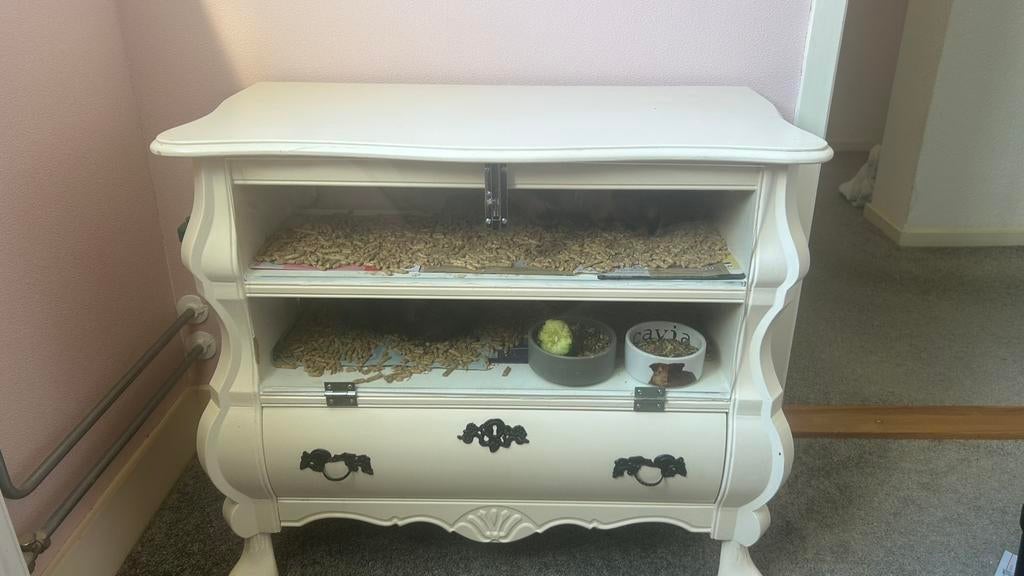 Super lieve cavias met twee kooien, Ophalen, 110 cm of meer, Zo goed als nieuw, 90 cm of meer