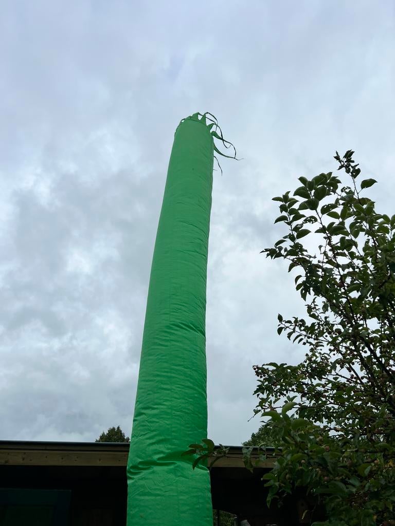 Te Huur: Skydancers, Ophalen, Zo goed als nieuw, Minder dan 1 meter, Parasolvoet