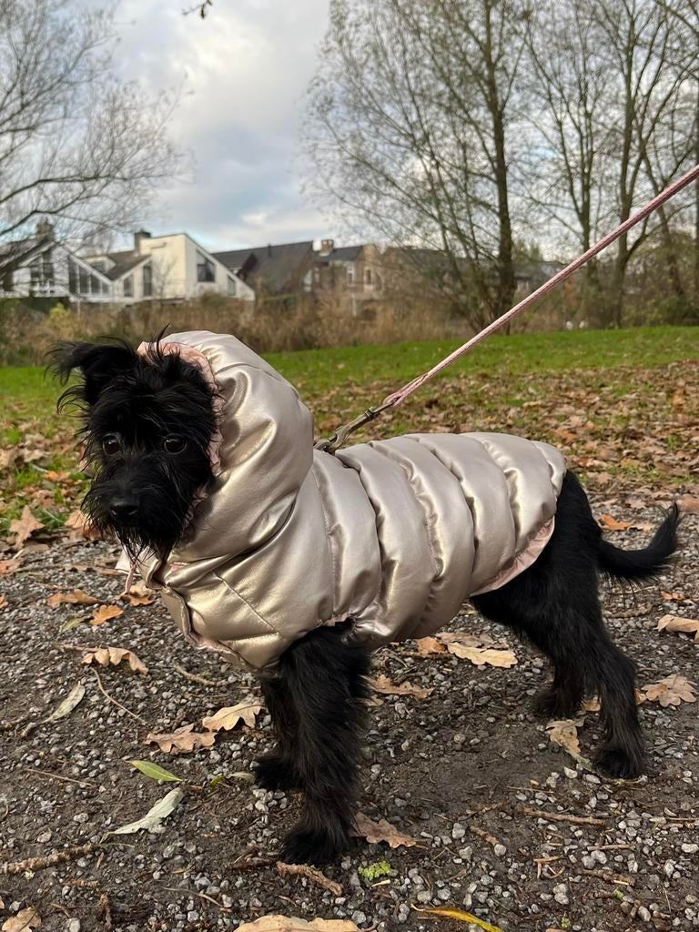 Teo I’m Cool Hondenjas Deluxe Rose Gold maat L, Dieren en Toebehoren, Ophalen of Verzenden, Zo goed als nieuw, Hondenjas