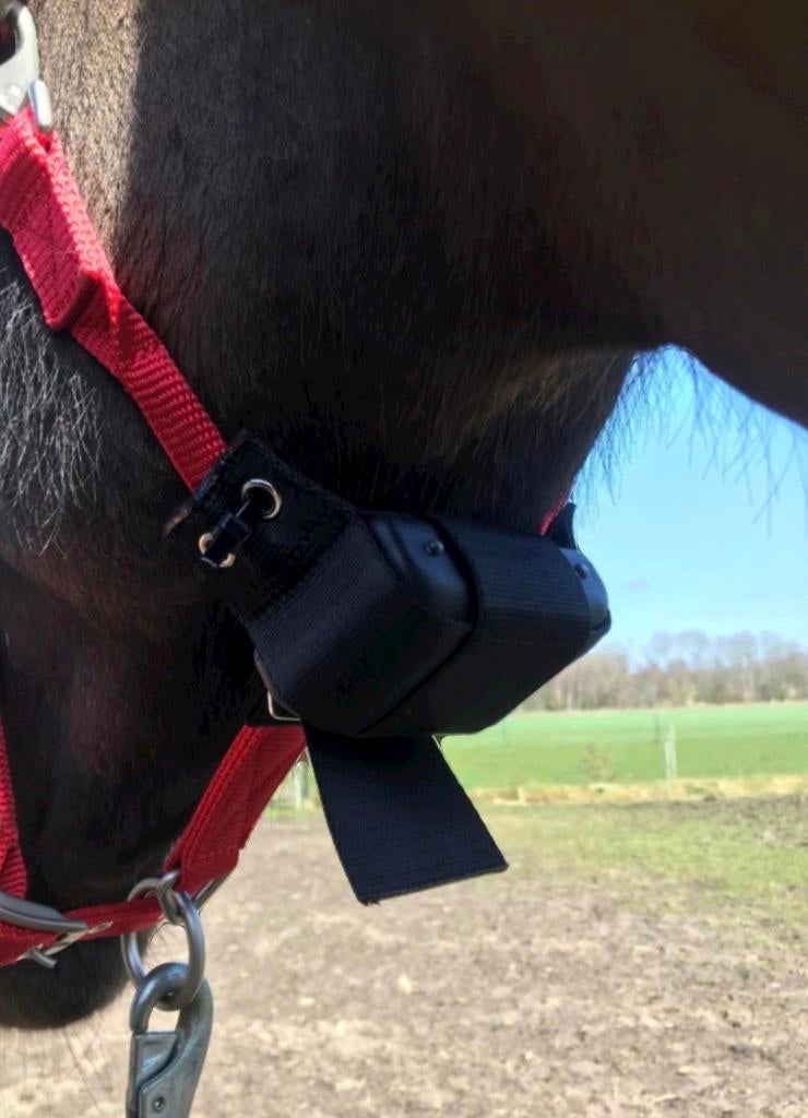 Te huur birth alarm, Ophalen, Zo goed als nieuw, Overige soorten