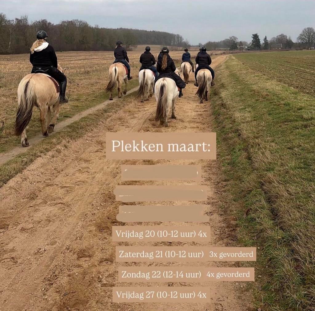 Bosritten montferlandbos