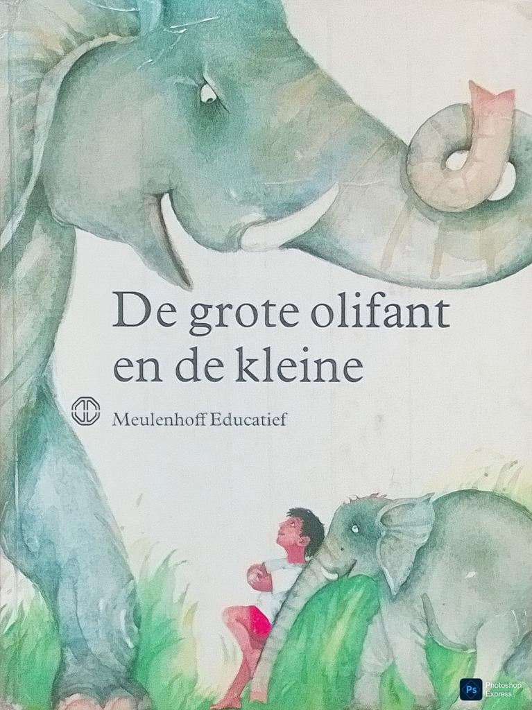 De Grote Olifant En De Kleine, Gelezen, Jongen of Meisje, Ophalen of Verzenden, Voorleesboek