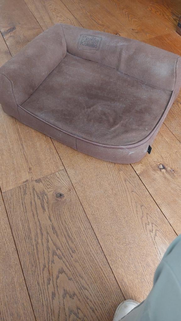 Heerlijk orthopedisch kussen voor hond of poes, Ophalen