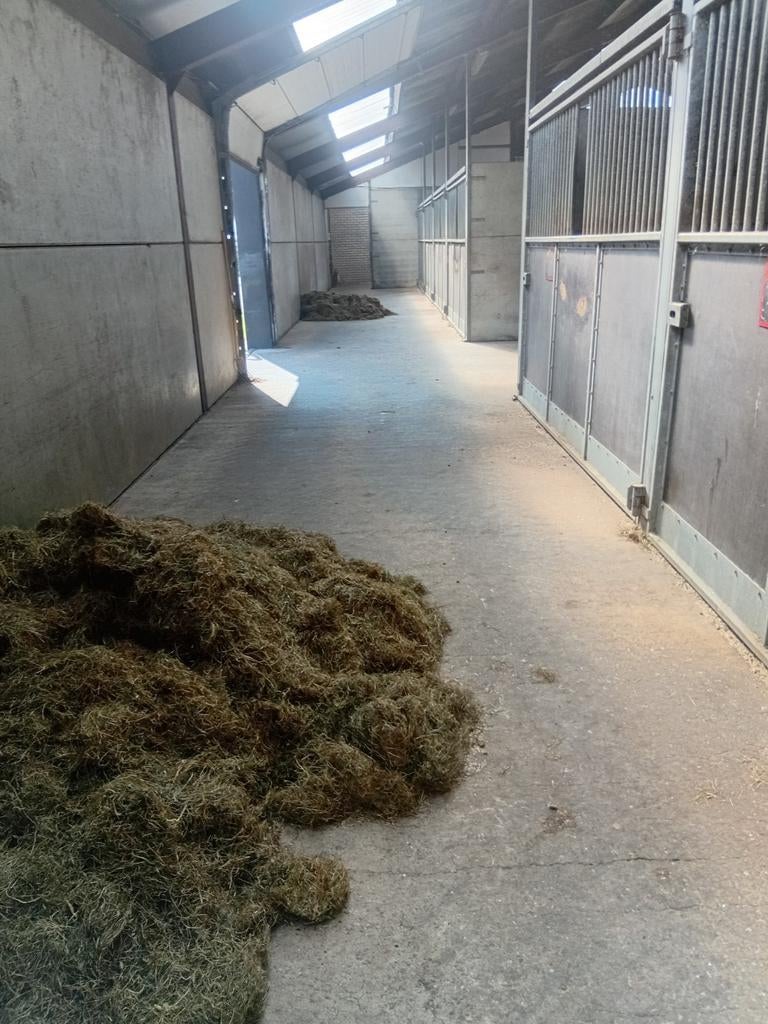 4 stallen te huur, Stalling, 4 paarden of pony's of meer