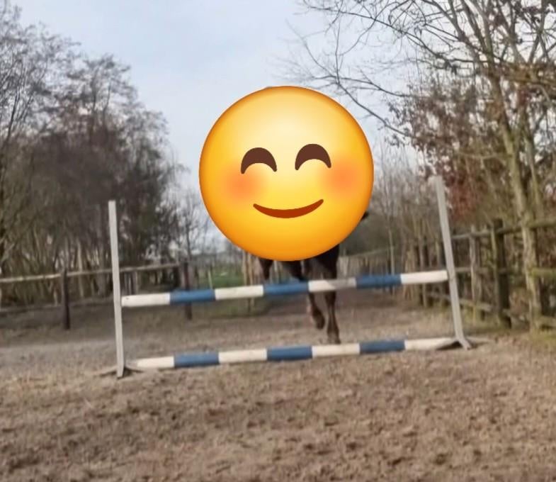 Springbalken, Ophalen, Gebruikt