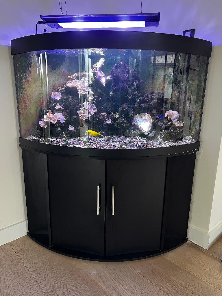 Aquarium - zoutwater Juwel Trigon 350, Ophalen, Gebruikt