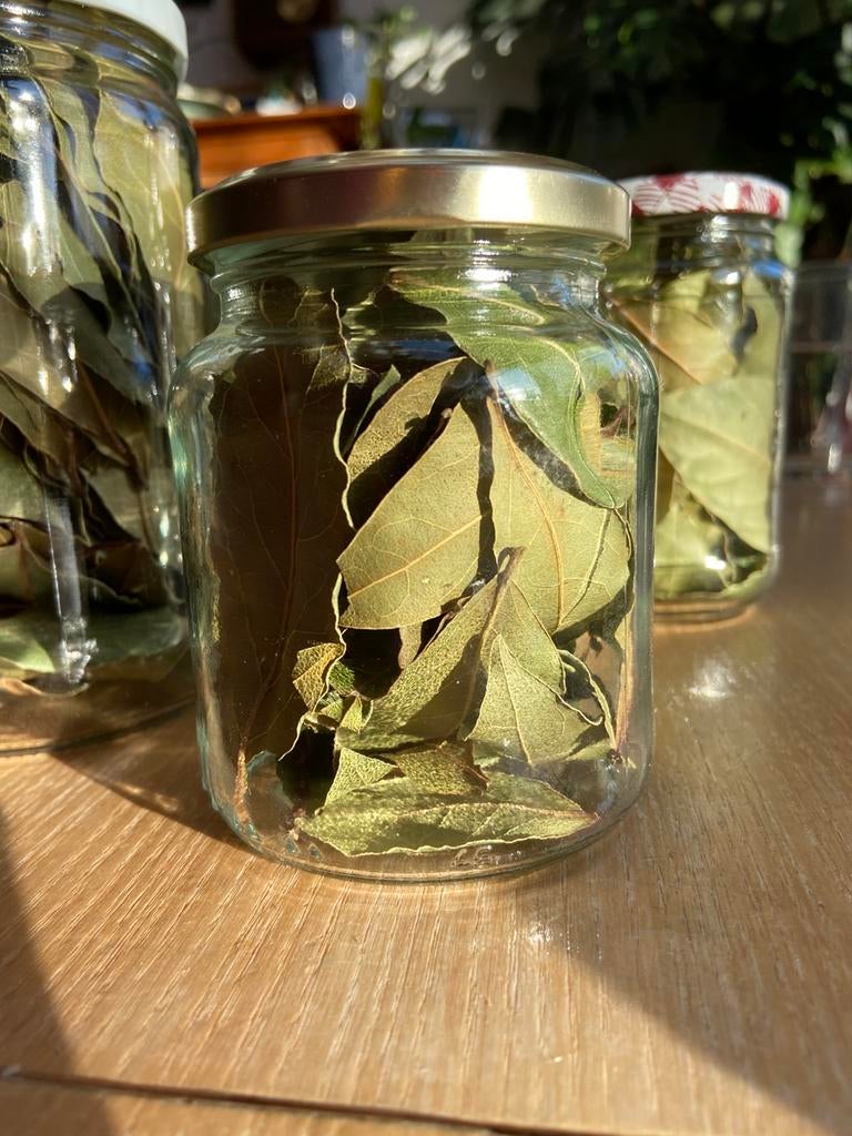 Laurier gedroogd, Ophalen, Nieuw, Natuurlijk materiaal, Overige merken