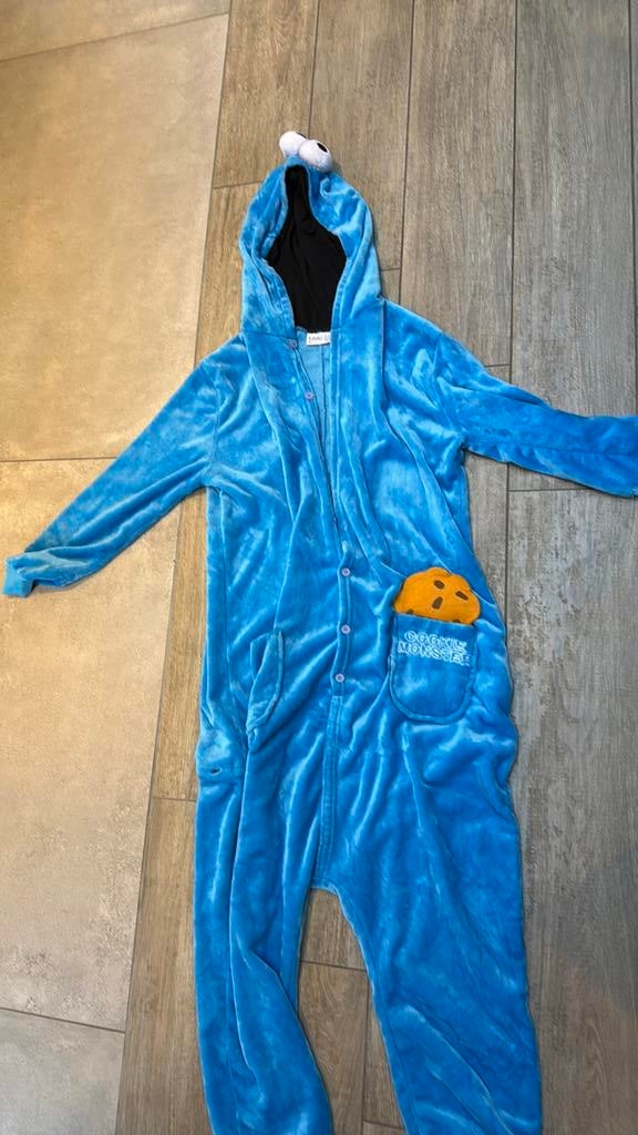 Verkleedpak carnaval koekiemonster, Ophalen of Verzenden, Zo goed als nieuw