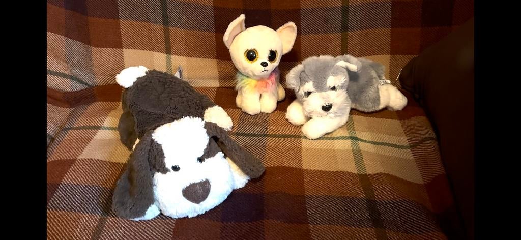 Knuffel hond hondje, Ophalen of Verzenden, Zo goed als nieuw, Hond