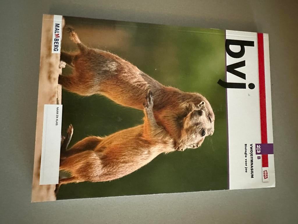 Bvj  2/3 vwo/gymnasium Leeropdrachtenboek B, Boeken, Ophalen of Verzenden, Zo goed als nieuw, Overige niveaus, Nederlands