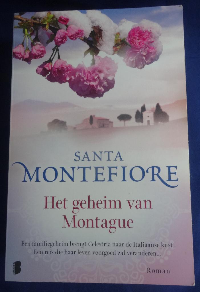 7 VERSCHILLENDE TITELS VAN * Santa Montefiore * !! MAG LOS, Verzenden, Zo goed als nieuw, Santa Montefiore, Europa overig