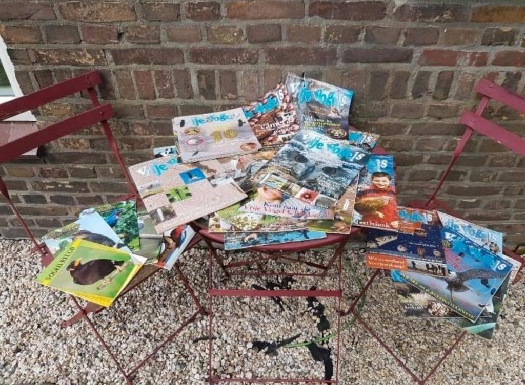 Magazines 31 x vrije vogels 4 x onze vogels 1 x vogelvreugd, Ophalen of Verzenden, Zo goed als nieuw, Vogels