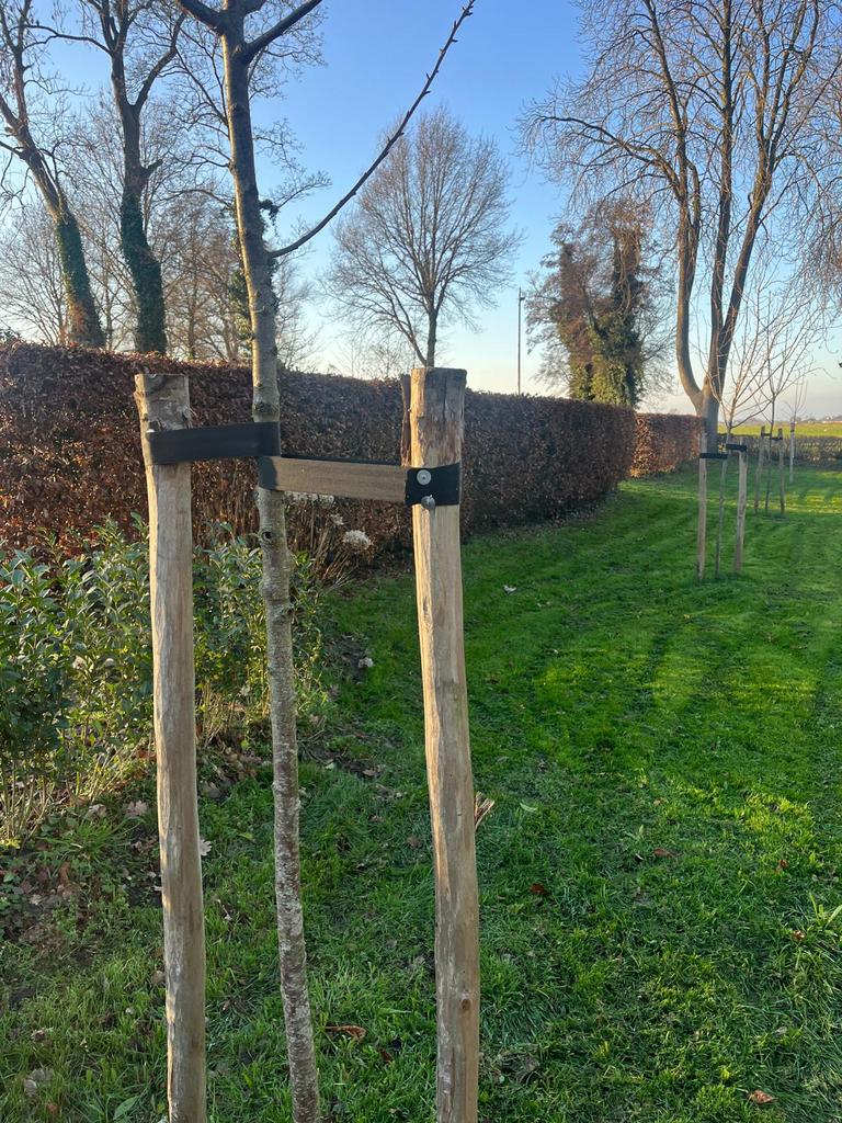 Boompalen schuttingpalen takkenril palen houten boomgaard, Ophalen of Verzenden, Nieuw, Palen