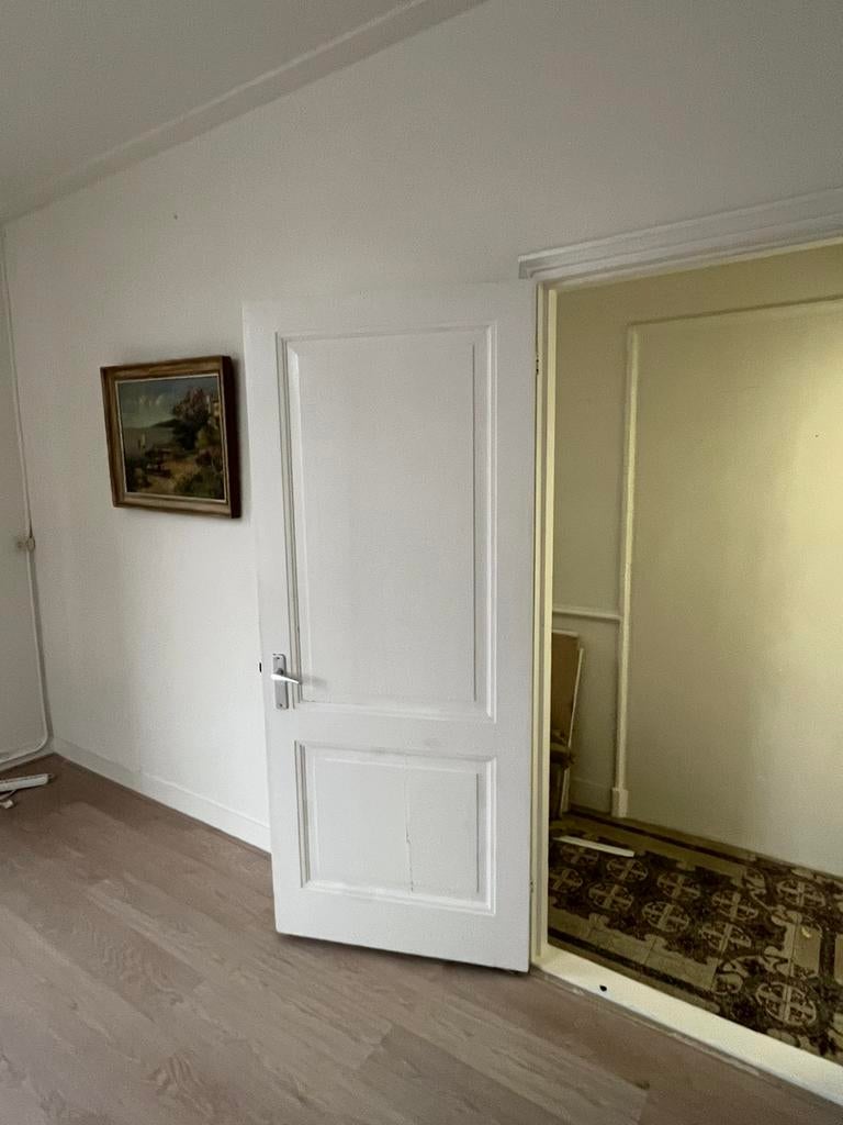 Diverse paneeldeuren te koop