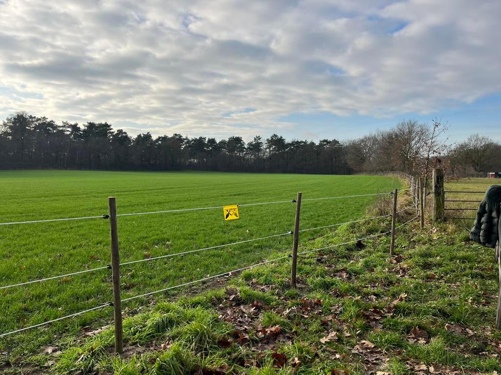 Pensionstalling aangeboden met diverse opties, Weidegang