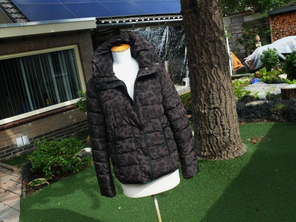 RESET winterjas maat 42 als nieuw NU 19 euro !!, Kleding | Dames, Jassen | Winter, Overige kleuren, Maat 42/44 (L), Ophalen of Verzenden