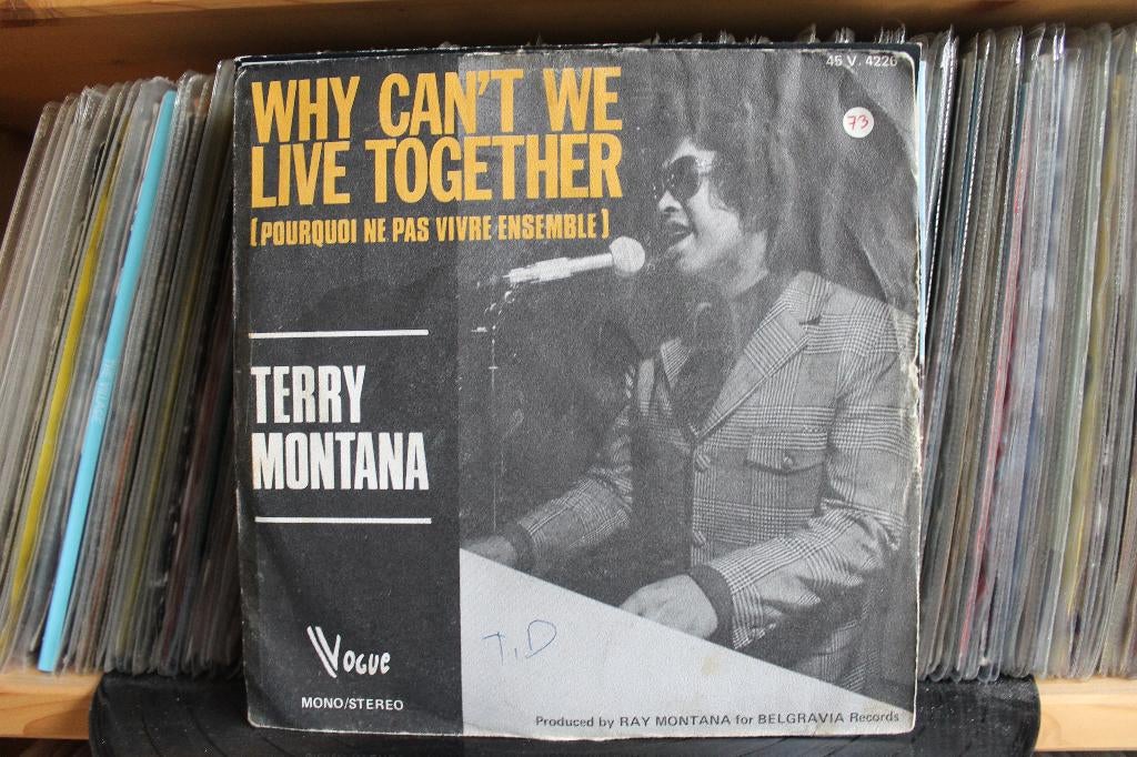 7" Single Terry Montana - Why Can't We Live Together (Pourqu, Gebruikt, 7 inch, Single, Ophalen of Verzenden