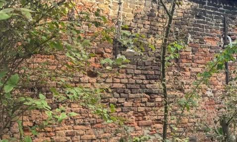 Gezocht: 2000 oude bakstenen (zoals op foto), Ophalen of Verzenden, Zo goed als nieuw, Bakstenen