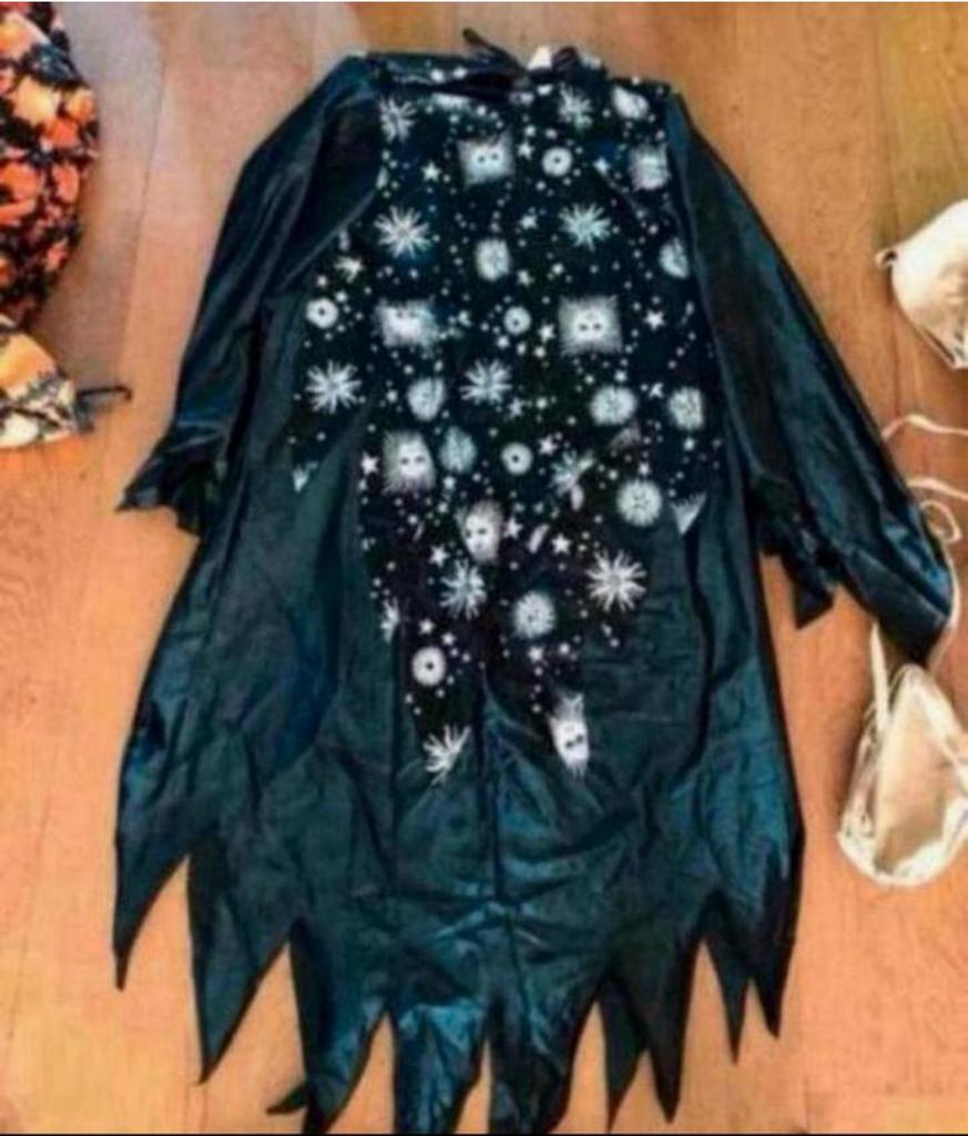 Carnavals -Verkleed Kleding, Tanzmarieke/ Vogelverschrikker, Ophalen of Verzenden, Gedragen, Carnaval, Kleding