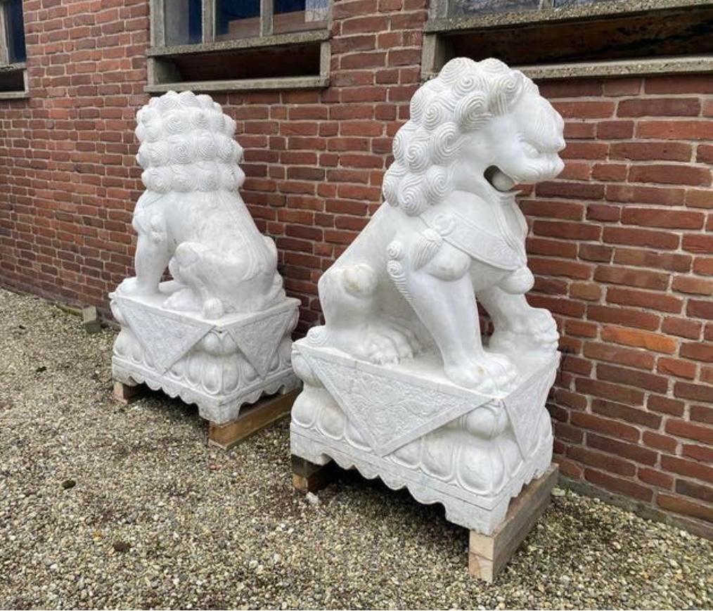 Tempelleeuwen, paar grote wit marmeren Foo Dogs., Ophalen, Zo goed als nieuw, Steen, Dierenbeeld