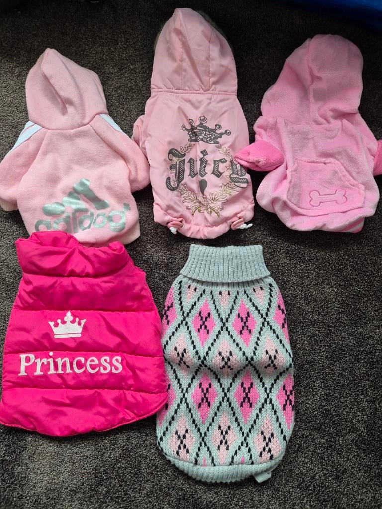 Honden kleertjes, Dieren en Toebehoren, Ophalen