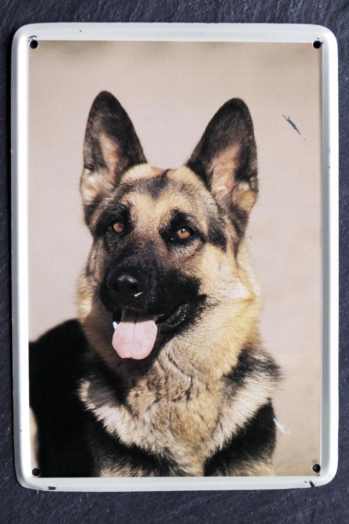 Metalen bordje Duitse Herdershond, Gebruikt, Verzenden, 1980 tot heden, Foto
