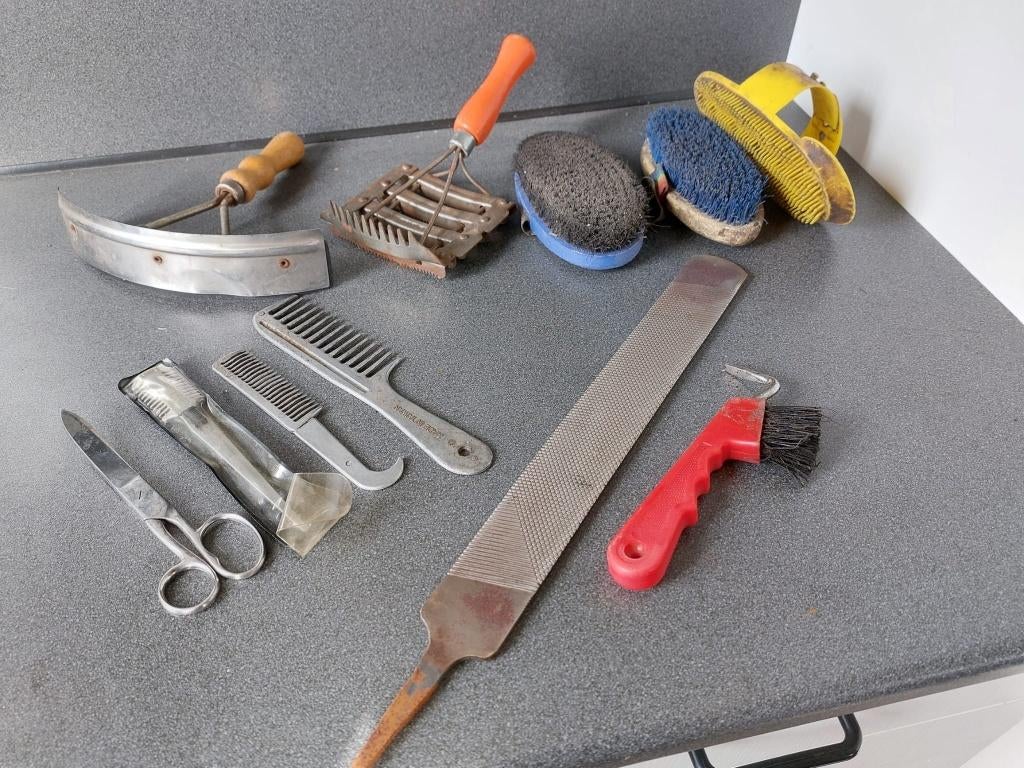 Verzorging producten voor paarden, Ophalen of Verzenden, Gebruikt