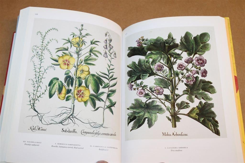 Garden at Eichstätt — Besler, 158 Platen, Taschen [EN], Ophalen of Verzenden, Gelezen