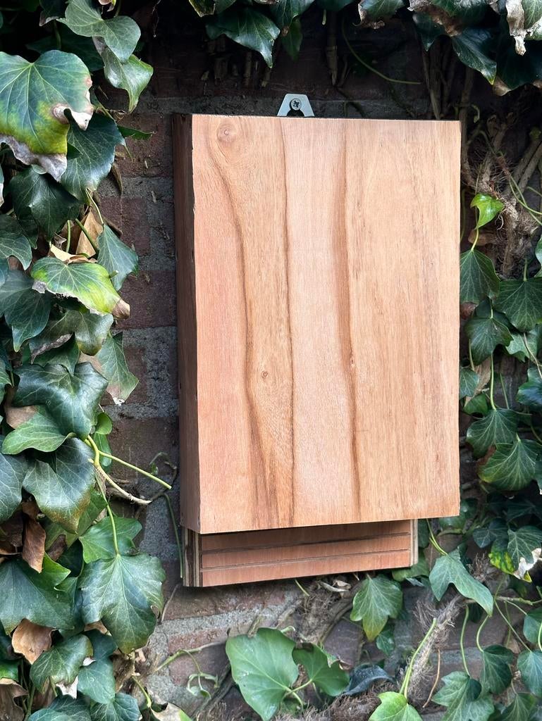 Vleermuizenkast, verschillende, Ophalen of Verzenden, Nieuw