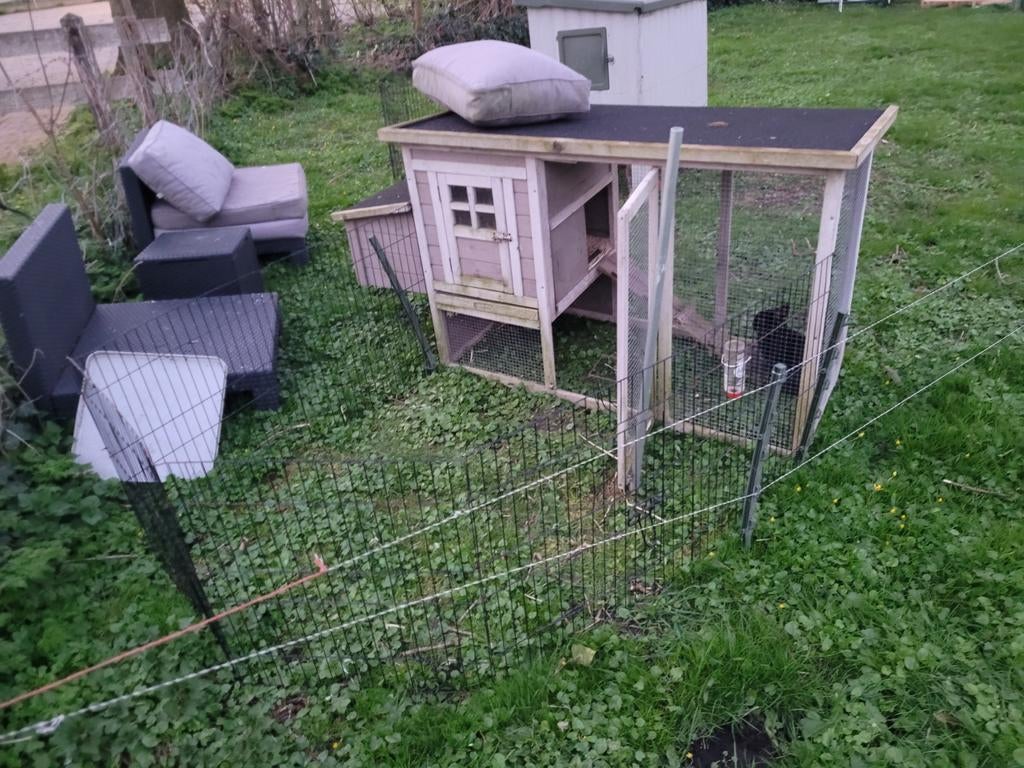 Konijnenhok met konijn, Ophalen of Verzenden, Gebruikt, Kippenhok of Kippenren