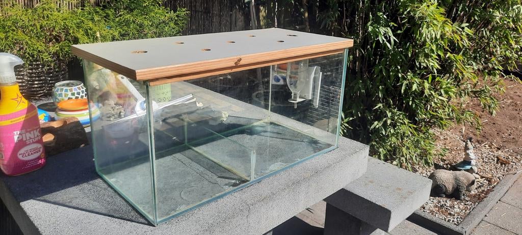 Terrarium, Overige typen, Muis, Minder dan 75 cm, Ophalen