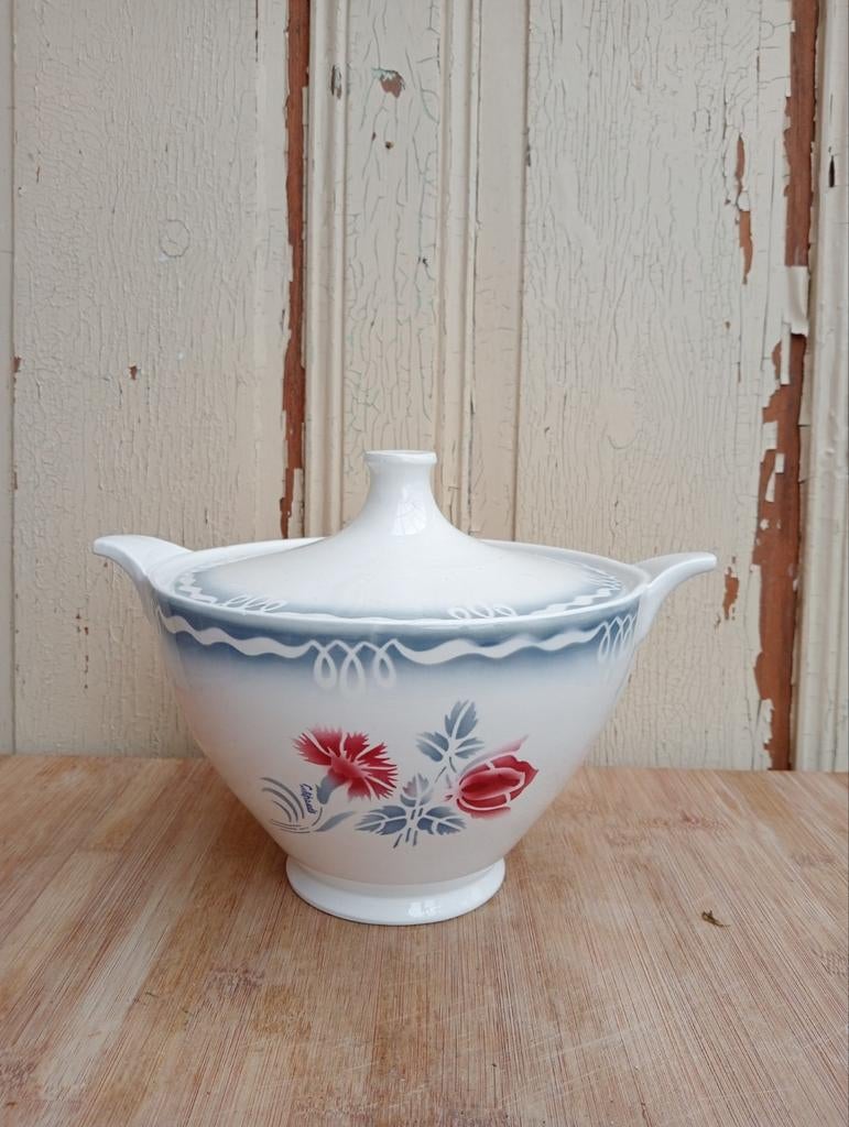 California soepterrine korenbloem, Ophalen of Verzenden