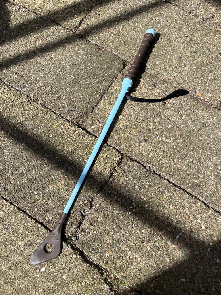 Blauw zweepje, Dieren en Toebehoren, Ophalen of Verzenden, Springen