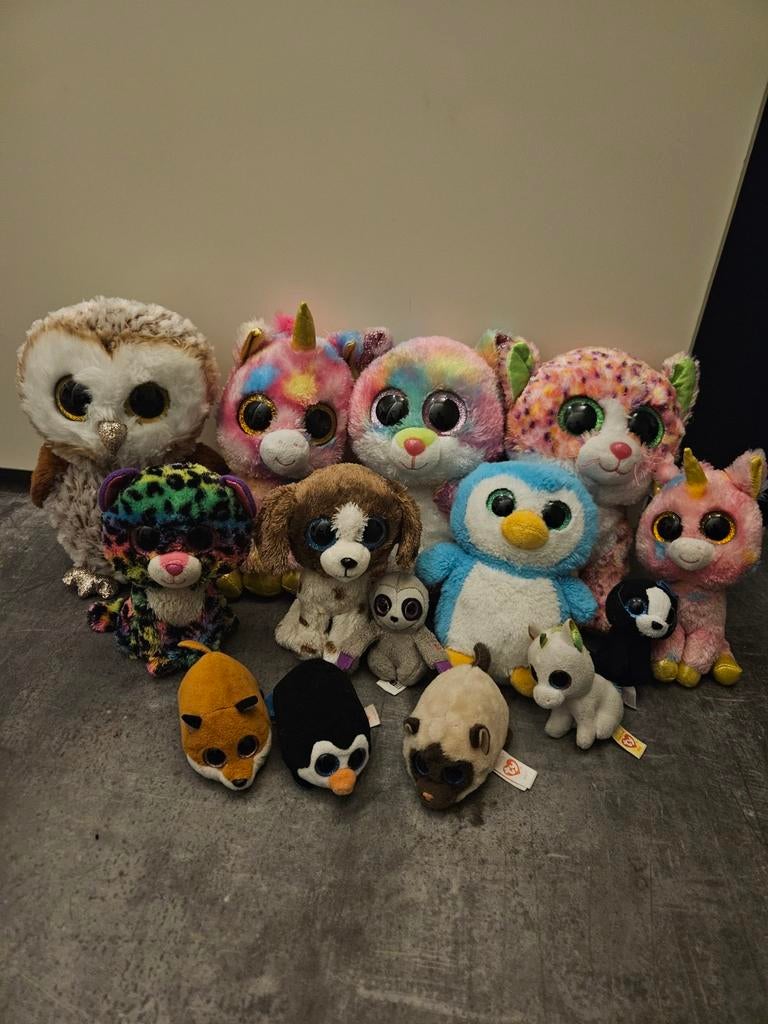 Grote set Ty Beanie Boo knuffels - Diverse dieren, Ophalen of Verzenden, Zo goed als nieuw, Hond