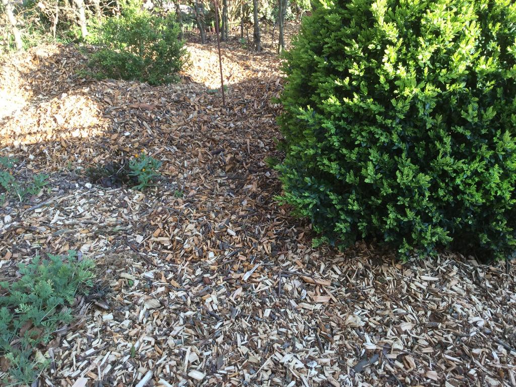 HOUTSNIPPERS BOOMSCHORS BODEMBEDEKKING COMPOST, Verzenden, Boomschors