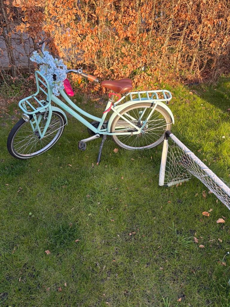 20 inch meisjesfiets in goede staat, Ophalen, Gebruikt, 20 inch of meer