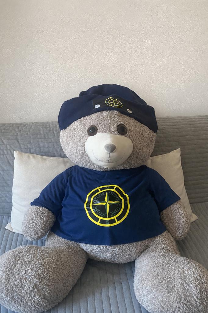 Stone Island Teddybeer, Ophalen, Zo goed als nieuw, Beer