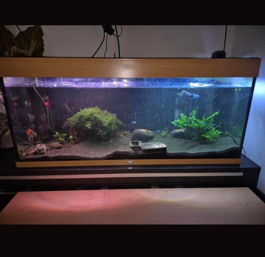 Juwel aquarium met meubel, Dieren en Toebehoren, Vissen | Aquaria en Toebehoren, Ophalen, Gevuld zoetwateraquarium