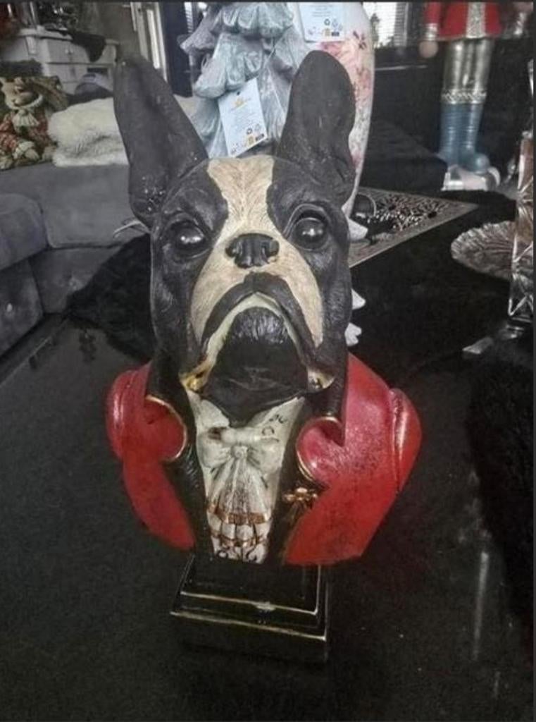 Franse Bulldog Buste - Decoratief Beeld, Ophalen of Verzenden, Nieuw, Dier