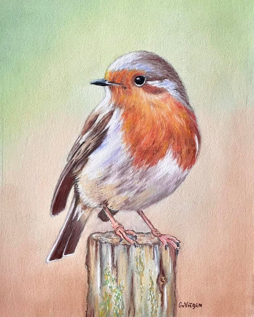 Schilderij Roodborst - Vogelkunst, Ophalen of Verzenden