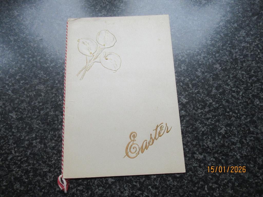 MENUKAART- RMS NIEUW AMSTERDAM-EASTER-1956, Verzamelen, Ophalen of Verzenden, Zo goed als nieuw, Kaart, Foto of Prent