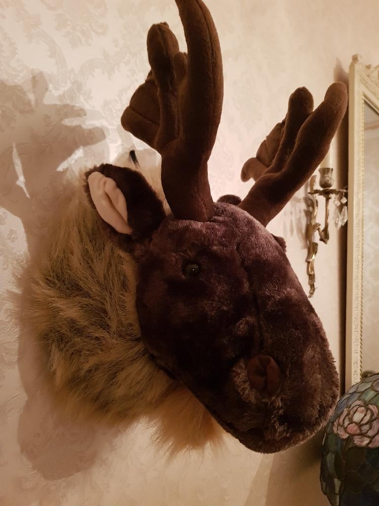 Mooie pluchen Elanden kop Voor aan de wand, Ophalen of Verzenden, Zo goed als nieuw, Wanddecoratie