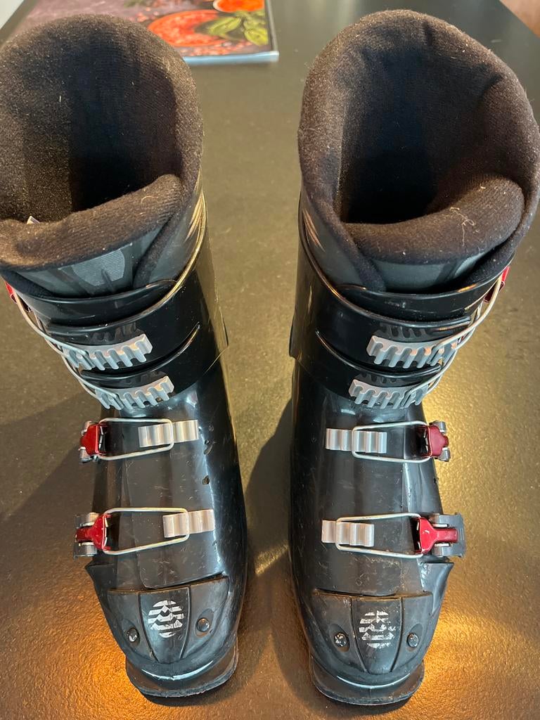 Alpina Skischoenen Maat 25.5 (EU 40), Overige merken, Gebruikt, Schoenen, Ophalen of Verzenden