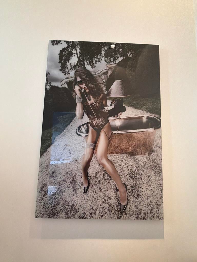 Plexiglas Schilderij  cobra - 100x150 cm, Ophalen