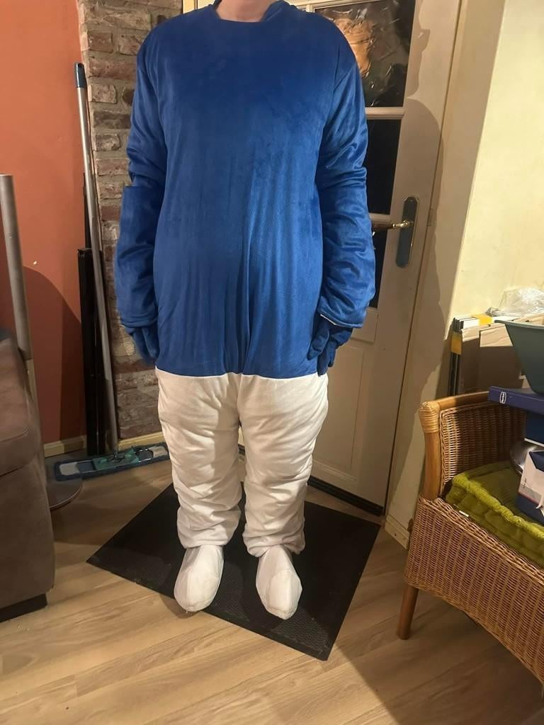 carnaval, Kleding | Dames, Carnavalskleding en Feestkleding, Zo goed als nieuw, Carnaval, Ophalen