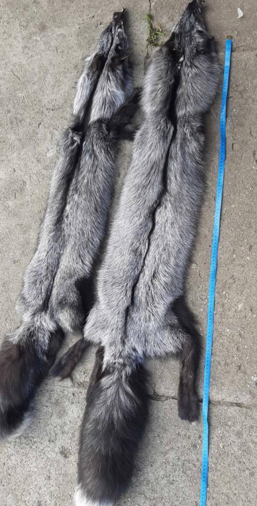 Mooie Nieuwe Vossen Vacht, Ophalen of Verzenden, Nieuw