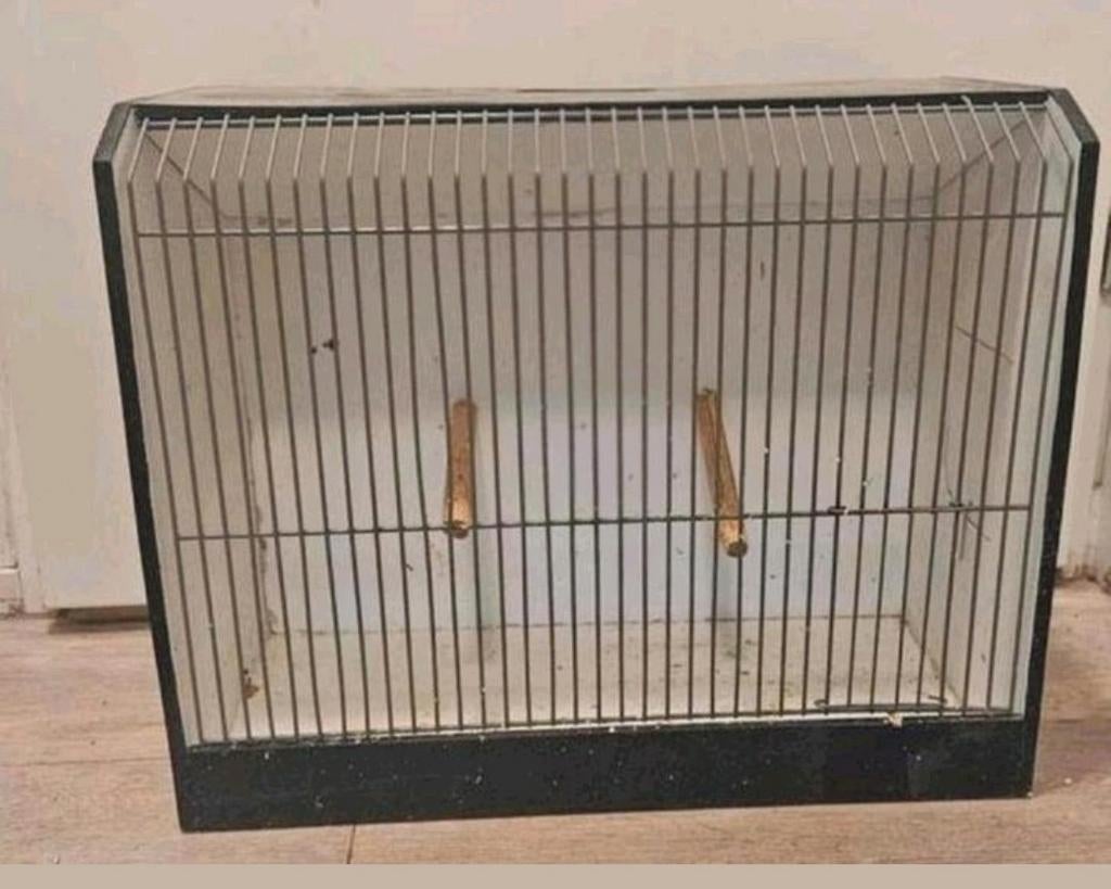 Grote tentoonstelling kooi, Dieren en Toebehoren, Vogels | Hokken en Kooien, Ophalen, Gebruikt, Metaal, Vogelkooi