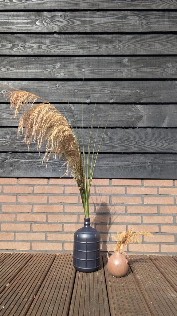 Gratis decoratie: Pampasgras en siergras in vazen, Ophalen, Grijs, Steen/keramiek, Landelijk