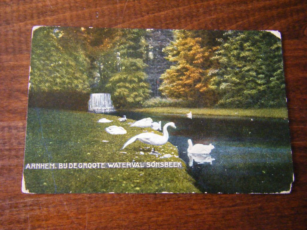 T37 - Arnhem - Sonsbeek - Zwaan - 1912 - Oud, Ophalen of Verzenden, Voor 1920, Gelderland