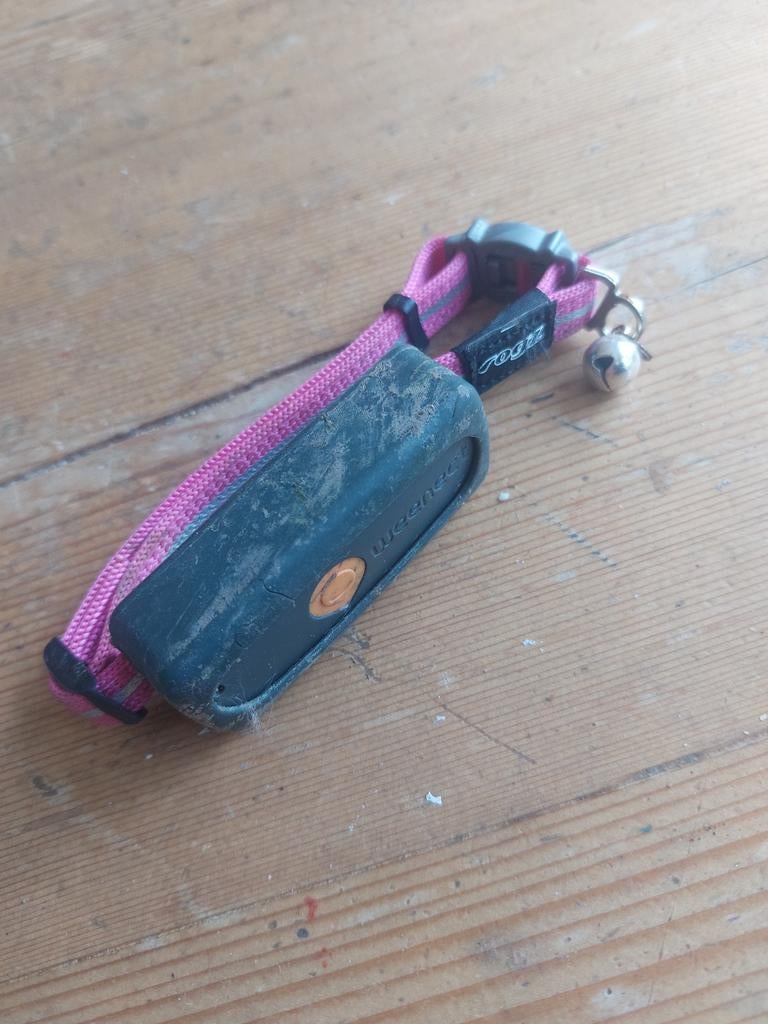 Halsband kat GEVONDEN - Weenect, Rogz